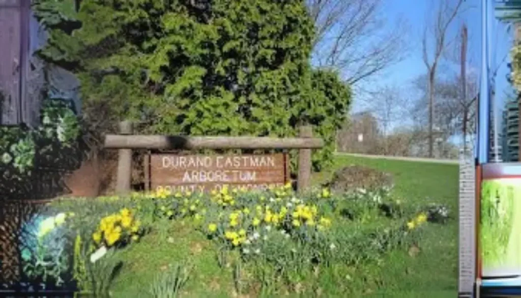 Durand-Eastman Park History